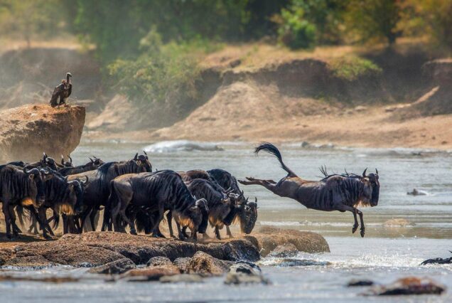 Serengeti National Park